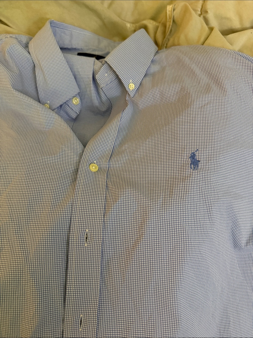 Polo by Ralph Lauren Light Blue Micro-Check Button-Down Shirt